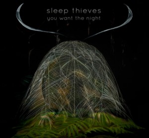 sleep thieves